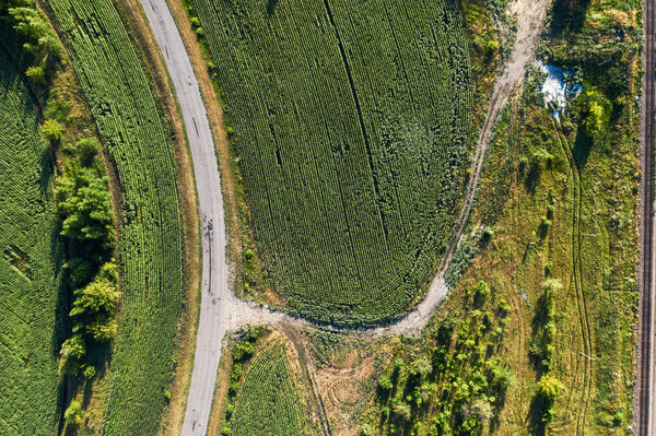 Aerial top view of curve country road among green fields in summer day, drone photo