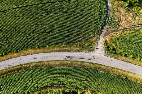 Vista aérea superior da curva estrada país entre os campos verdes no dia de verão — Fotografia de Stock