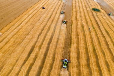 Sarı tahıl alanında hasat makinesi, drone hava üst görünümü. Tarım kombine makine hasat olgun alan
