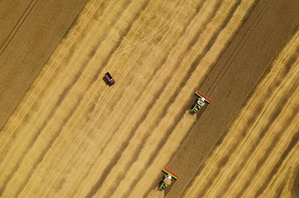 Sklízeč ve žlutém obilí, pohled ze vzduchu z dronu. Zařízení na zrání zemědělsky kombinující stroje — Stock fotografie