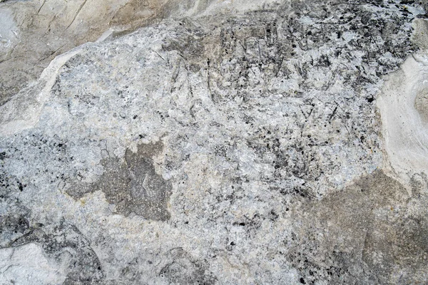 Beyaz doğal tebeşir kaya duvarı. Grunge gri ve beyaz arka plan dokusu, yakın çekim — Stok fotoğraf