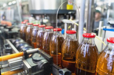 Taşıyıcı bant, içecek fabrikası veya fabrika içi cam şişelerde meyve suyu, endüstriyel üretim hattı