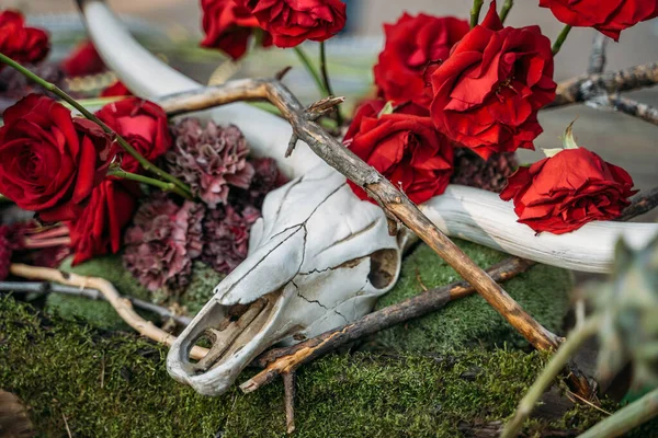 Czaszka zwierzęcia z rogami i czerwonymi różami kwiaty na zielonym tle trawy, zbliżenie — Zdjęcie stockowe