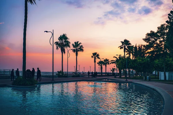 Limassol, Siprus. Siluet telapak tangan dan berjalan wisatawan di Taman Molos dengan latar belakang matahari terbenam langit — Stok Foto