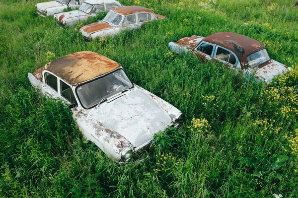 Viejos coches abandonados oxidados retro en hierba verde alta, cementerio de autos antiguos, vista aérea — Foto de Stock