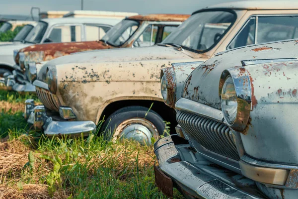 Velho retro rusty carros abandonados em alta grama verde, cemitério de automóveis vintage — Fotografia de Stock