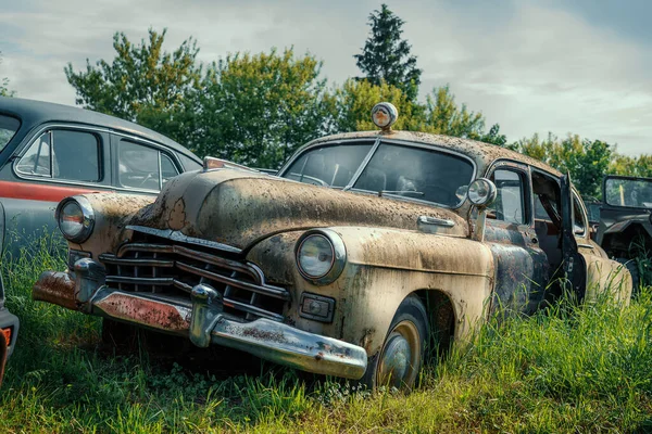 Vintage zardzewiały samochód retro wśród innych samochodów w zielonej trawie — Zdjęcie stockowe