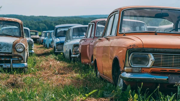 Birçok eski terk edilmiş ve unutulmuş paslı antika araba kötü durumda, panoramik manzara — Stok fotoğraf