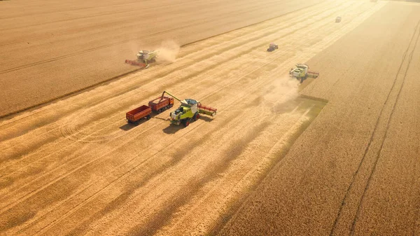 Le raccoglitrici combinano il grano da raccolto in campi maturi gialli o dorati. Agricoltura industriale, vista aerea — Foto Stock