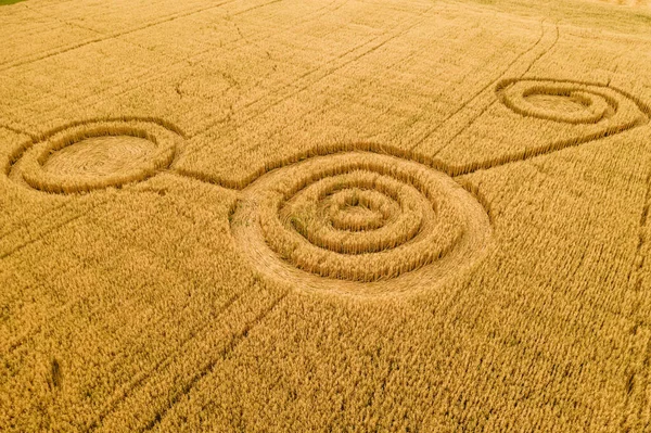 Falsos círculos OVNI en el campo amarillo de grano, vista aérea desde el dron. Geometría redonda símbolos de forma como signos alienígenas, concepto de misterio — Foto de Stock
