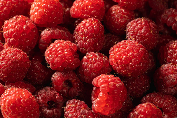 Fresh red Raspberry fruits as organic and vitamin food background, close up