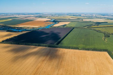 Yeşil ve sarı hasat tarlaları hava manzaralı, İHA 'nın üstünde uçuyor.