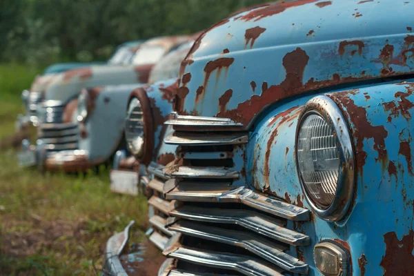 Eski, paslı, terk edilmiş, yeşil çimenli arabalar. — Stok fotoğraf