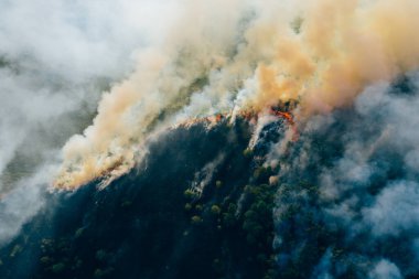 Hava manzaralı duman bulutları. Ormandaki yangın yayılır, doğal afet. Kuru çimenler ve yanan ağaçlar. İklim değişikliği kavramı