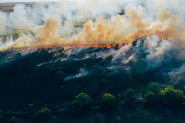 Αεροφωτογραφία σύννεφα καπνού από άγρια φωτιά. Φωτιά στα δάση εξαπλώνεται, φυσική καταστροφή — Φωτογραφία Αρχείου