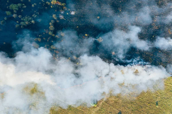Вид с воздуха дымовые облака дикого огня. Пожар в лесу, стихийное бедствие. Сухая трава и деревья горят. Концепция изменения климата — стоковое фото
