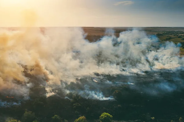 Дым и пламя над природой лесной пожар осенью после сухого сезона, опасность изменения климата — стоковое фото