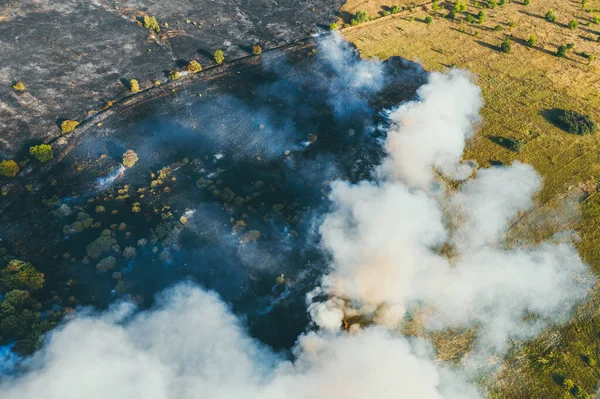 Луг и лесной пожар, Природный лес, пылающий пламенем и дымом, Вид сверху с воздуха — стоковое фото