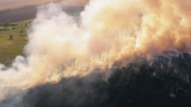 Kuru yanma alanının üzerinde duman bulutları, doğal afet yangınları. Ateşle yanan doğa, hava manzarası