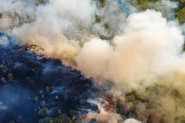 Дым и пламя лесной пожар в лесу после сухого сезона, вид сверху с беспилотника — стоковое фото