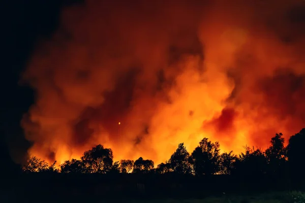 Waldbrand in der Nacht, Lauffeuer nach trockener Sommersaison, Verbrennung der Natur in Russland, Region Woronesch — Stockfoto