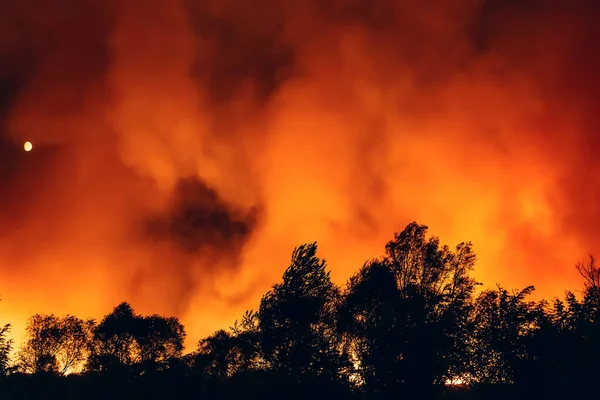 Πυρκαγιά το βράδυ, πυρκαγιά μετά από ξηρή καλοκαιρινή περίοδο, καύση της φύσης στη Ρωσία, Voronezh Περιφέρεια — Φωτογραφία Αρχείου