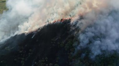 Voronezh Bölgesi, Rusya 'da orman yangını. Doğal afet, hava aracı bakış açısı.