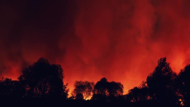 Incendi boschivi notturni, incendi boschivi dopo la stagione estiva secca, brucia la natura in Russia, regione Voronezh — Video Stock