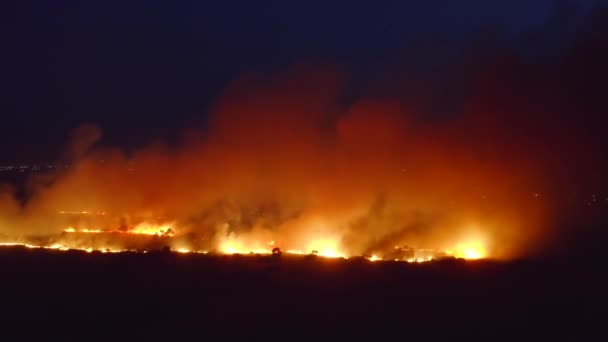 森林大火熊熊燃烧，夜间鸟瞰。旱季自然野火 — 图库视频影像