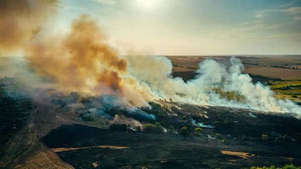 Καίγεται το γρασίδι και τα δέντρα. Φυσική καταστροφή στο δάσος, εναέρια θέα από drone. Φωτιά στη φύση με καπνό — Φωτογραφία Αρχείου