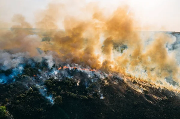 Δάσος φωτιά εναέρια άποψη, πυρκαγιά μετά από ξηρή καλοκαιρινή περίοδο, καύση της φύσης — Φωτογραφία Αρχείου