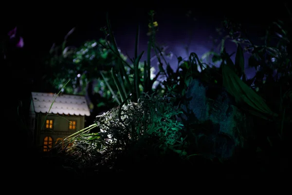 Φαντασία Διακόσμηση Φωτογραφία Μικρό Όμορφο Σπίτι Στο Γρασίδι Φως Παλιό — Φωτογραφία Αρχείου