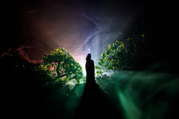 Horror Halloween Decorated Conceptual Image Alone Girl Light Forest Night — Stock Photo, Image