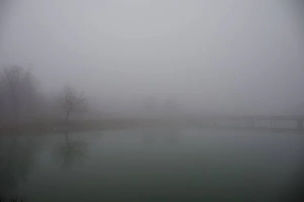 池作るロマンチックなシーンから蒸発霧や霧で湖の美しい橋の木 湖の水面に反映橋の景観が素晴らしい 霧の深い朝の湖の上の鉄橋 — ストック写真