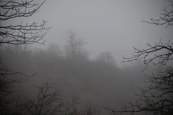 Paysage Avec Beau Brouillard Forêt Sur Colline Sentier Travers Une — Photo