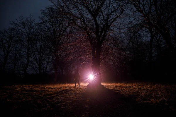 Luz Estranha Uma Floresta Escura Noite Silhueta Pessoa Floresta Escura — Fotografia de Stock