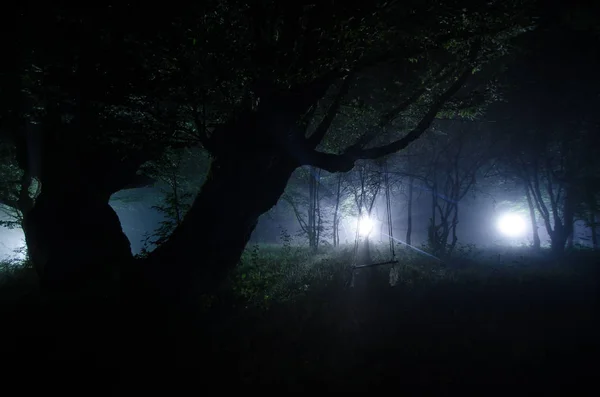 Mgła Noc Wsi Tajemnicze Moonlight Zapalanie Huśtawka Pobliżu Drzewa Podwórku — Zdjęcie stockowe
