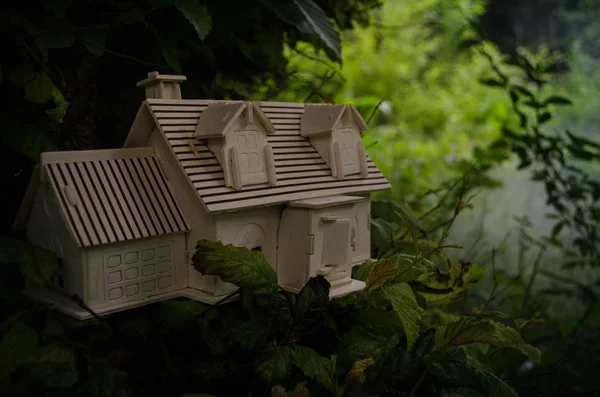 Modèle Bois Maison Dans Jardin Maison Sur Arbre Petite Maison — Photo