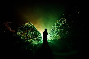 Korku Halloween kavramsal görüntü dekore edilmiştir. Işık gece ormanda yalnız kız. Kız gerçeküstü ışık arka plan ile ağaçları arasında ayakta silüeti. Seçici odak.