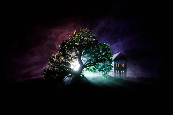 Old house with a Ghost in the forest at night or Abandoned Haunted Horror House in fog. Old mystic building in dead tree forest. Trees at night with moon. Surreal lights. Horror Halloween concept