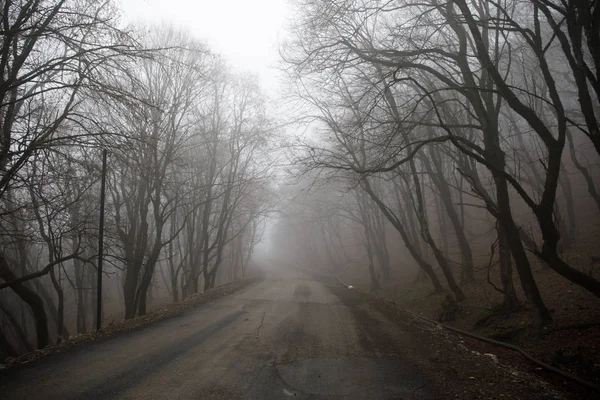 Paysage Avec Beau Brouillard Forêt Sur Colline Sentier Travers Une — Photo