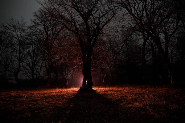 Furcsa Fényt Egy Sötét Erdőben Éjszaka Sziluettjét Személy Állandó Sötét — Stock Fotó