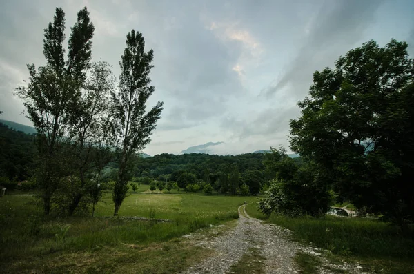 Величний Пейзаж Гори Луки Велоспорт Гірській Дорозі Туманний Гірській Дорозі — стокове фото