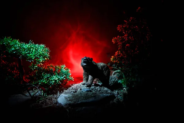 Vista Horrenda Urso Grande Floresta Noite Urso Furioso Atrás Fogo — Fotografia de Stock