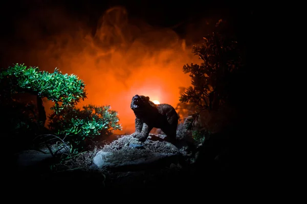 Horror view of big bear in forest at night. Angry bear behind the fire cloudy sky. The silhouette of a bear in foggy forest dark background