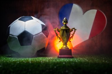 Fransa bayrağı, şampiyon bir altın kupa ve futbol topu çimenlerin üzerinde. Konsept spor. Seçici odak