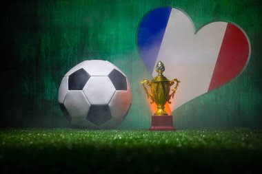 Fransa bayrağı, şampiyon bir altın kupa ve futbol topu çimenlerin üzerinde. Konsept spor. Seçici odak