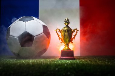 Fransa bayrağı, şampiyon bir altın kupa ve futbol topu çimenlerin üzerinde. Konsept spor. Seçici odak