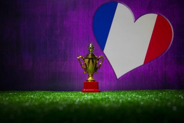 Fransa bayrağı, altın şampiyonun Kupası çimenlerin üzerinde. Konsept spor. Seçici odak