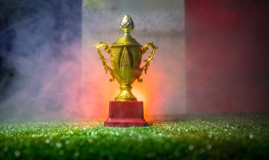 Fransa bayrağı, altın şampiyonun Kupası çimenlerin üzerinde. Konsept spor. Seçici odak